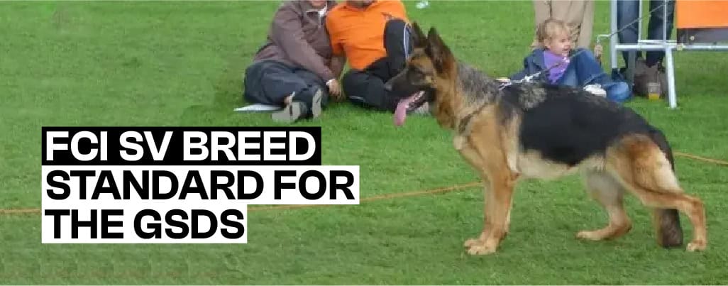 Internationally Reconized FCI SV Breed Standard for the German Shepherd Dog (NON AKC)