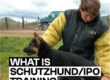 What is Schutzhund ipo Training