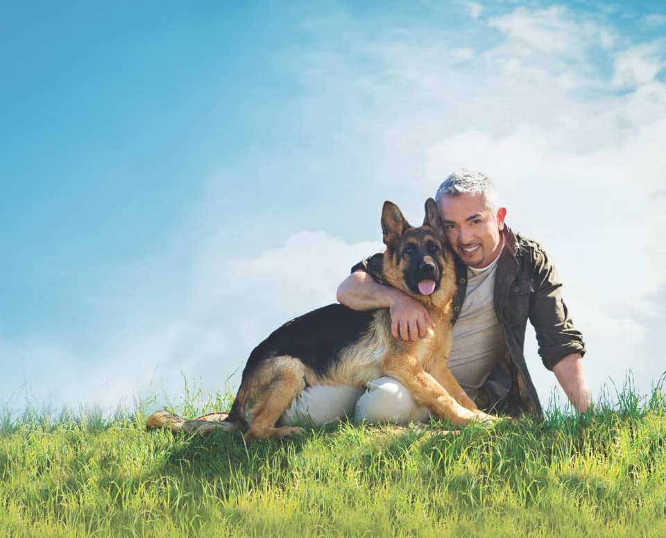 Cesar Millan, the Dog Whisperer and his dog from Kempkes Executive k9
