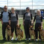 German Shepherds at competition