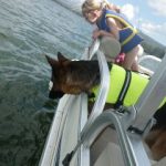 German Shepherd on boat with girl
