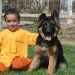 Boy with German Shepherd Puppy