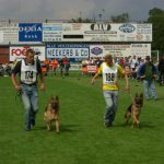 Wüstenberger-Land German Shepherds dog show