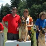 Group at competition with dogs