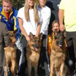 german Shepherds with team