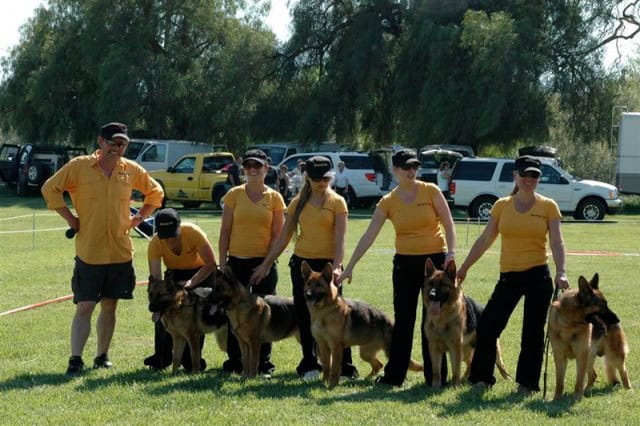 Wüstenberger-Land German Shepherds team