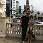 German Shepherd in Las Vegas