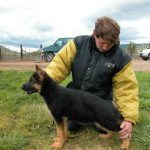 Man with German Shepherd Puppy