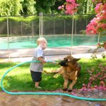 German Shepherd and child with hose