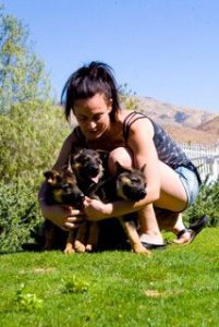 quartz tara puppies 15
