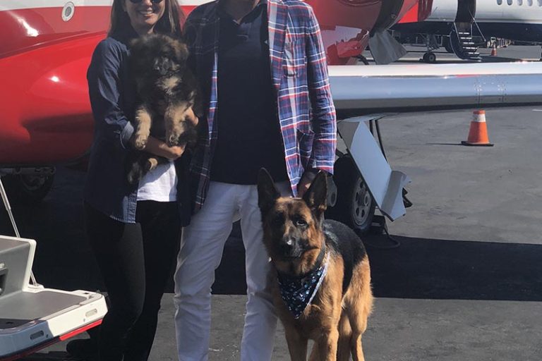 German Shepherd with family and plane