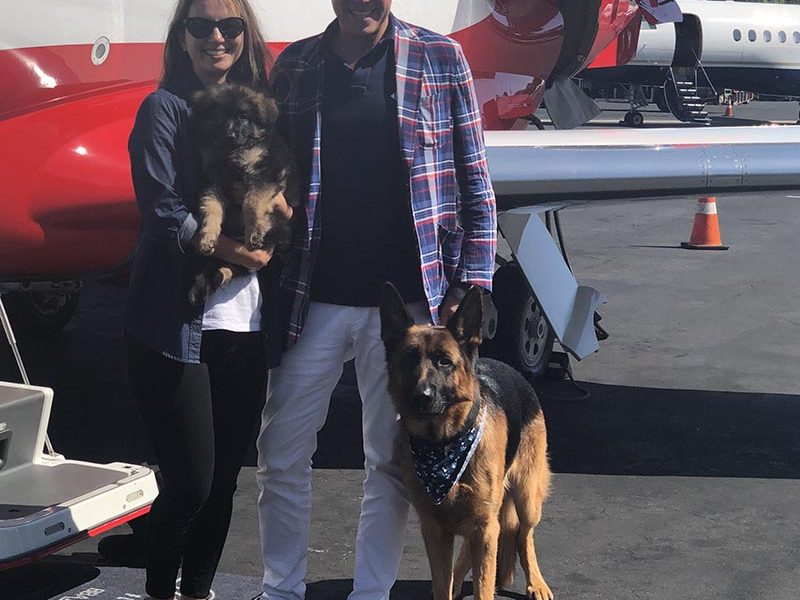 German Shepherd with family and plane