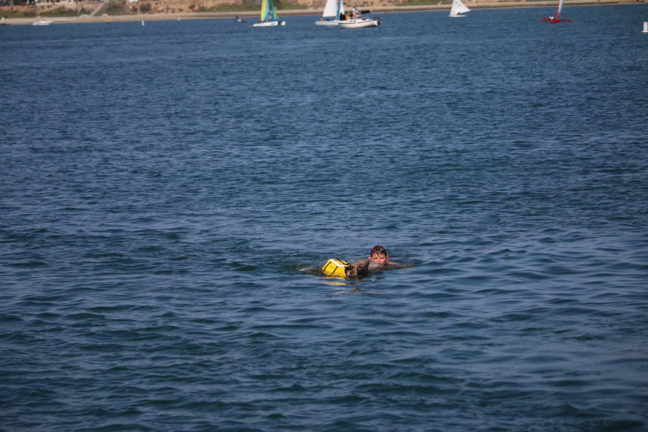 Dog and Michael swimming in the ocean