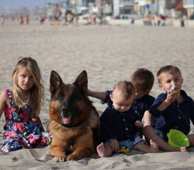 Children sitting in the sand with a German Shepherd dog.