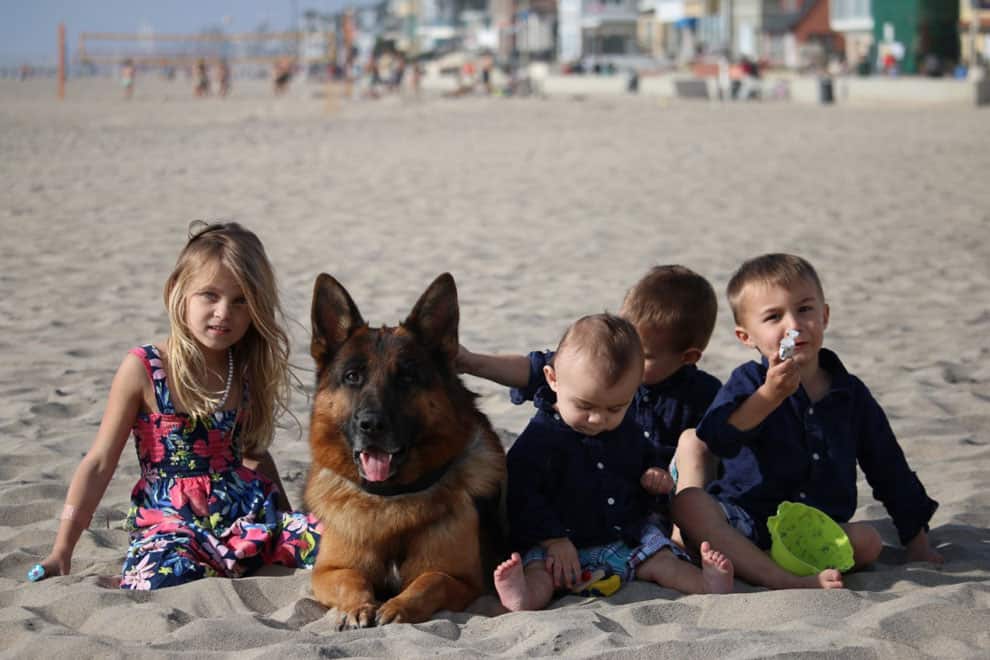 Children sitting in the sand with a German Shepherd dog from Kempkes Executive k9.