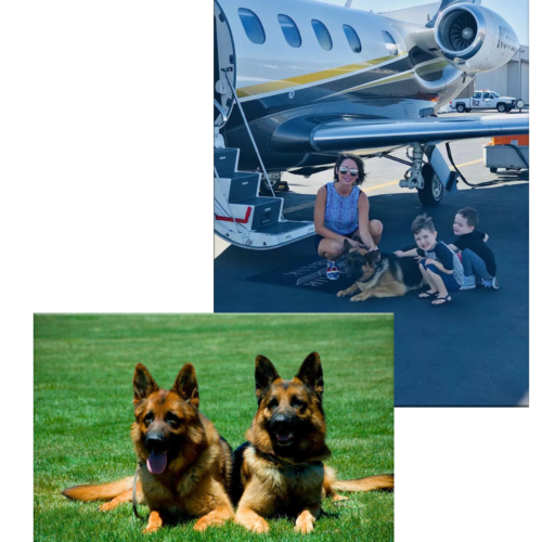 Two pictures, one of a mom with two young boys and a German Shepherds from Kempkes Executive k9 at a private airport. Second one of wo dogs sitting on the grass together.