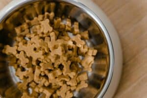 Dry dog food in bowl