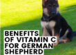 Benefits of Vitamin C for German Shepherd Puppies