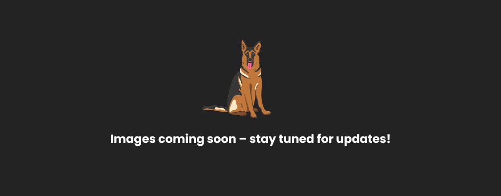 Images coming soon – stay tuned for updates!