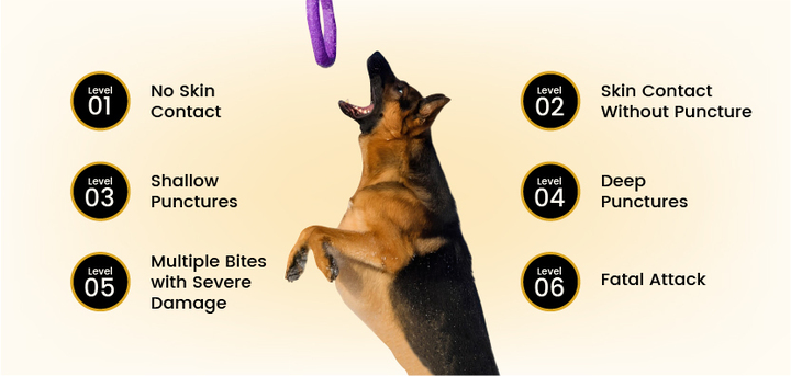 The Levels of a German Shepherd Dog Bite