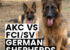 AKC vs FCISV German Shepherds