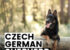 Czech German Shepherd