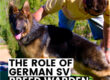 German SV Breed warden role in the GSD breed