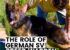 German SV Breed warden role in the GSD breed