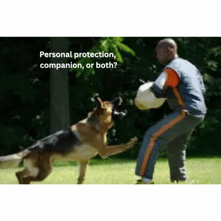 Add a subheading ( x px)