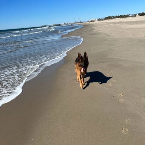 Yankee-beach