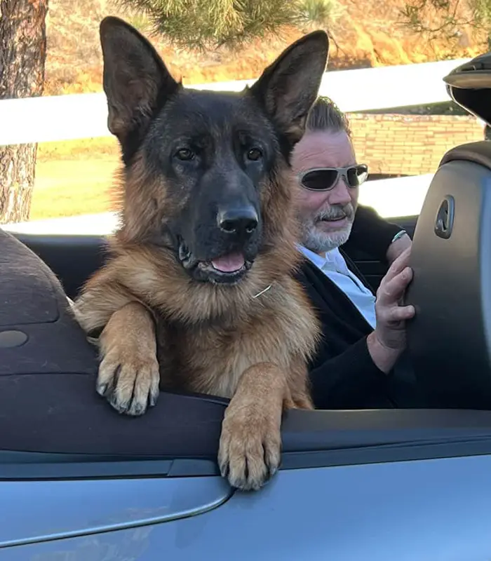 Yankee-in-the-car
