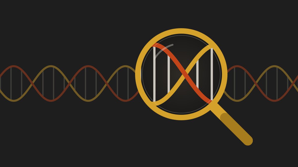 Magnifying glass over a DNA helix, representing German Shepherd genetic health testing.