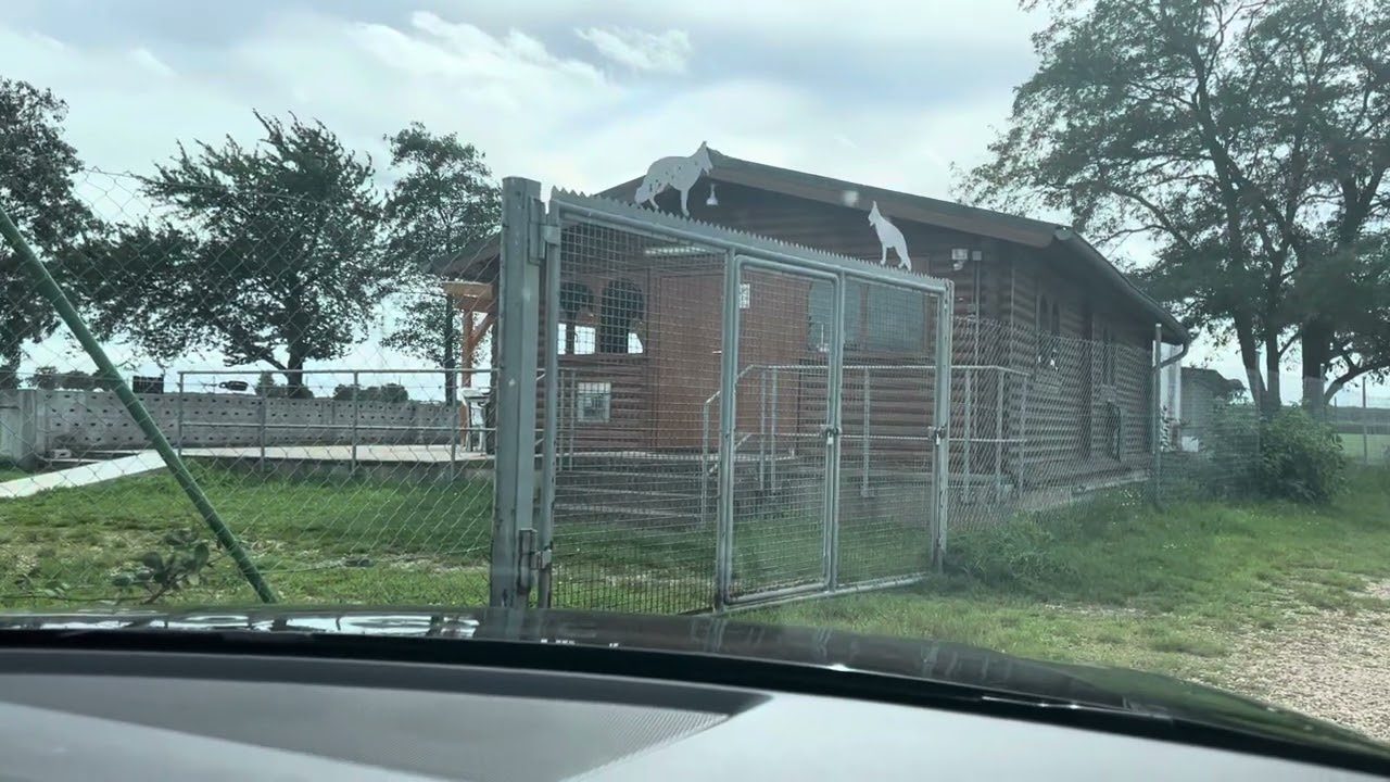 Kennel building and run at the start, seen from the car